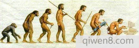 人类进化之谜：为什么人类用两条腿走路？
