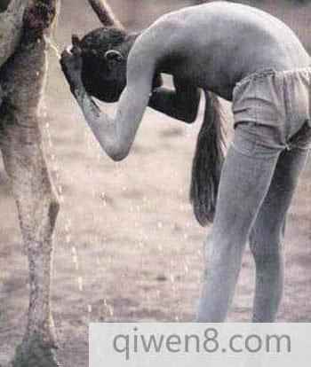 骆驼尿洗头牛粪刷牙