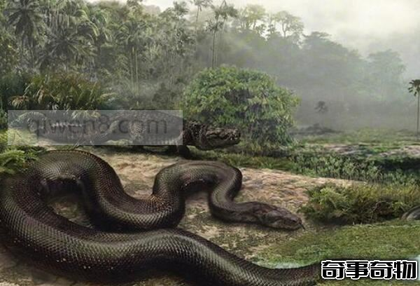 龙的进化七个阶段 蛇为第一阶段 金龙为最后阶段 一步一世界