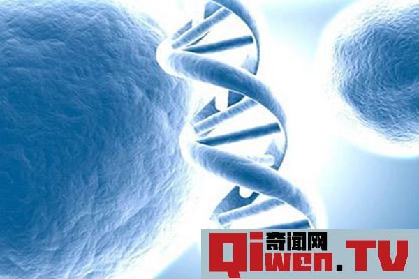 死亡基因被发现 缺失这种基因大概率患癌 癌症克星