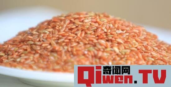 世界上最贵的大米 纯正康熙胭脂米 最高售价4000元 斤