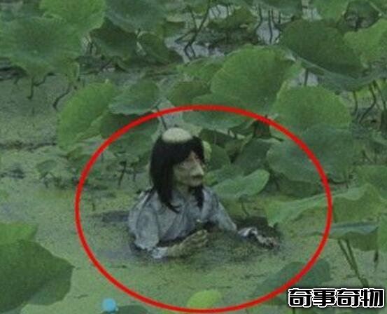 广东水库抓到一只女鬼 其实只是一只脱发的马来熊