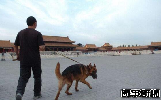 北京故宫灵异事件 恐怖真实的20个闹鬼事件