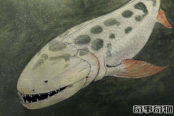泥盆纪最凶猛的生物 含肺鱼（长4米重2吨 可以单挑邓氏鱼）