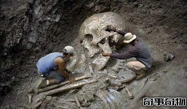 古代有巨人吗 中外都挖出过古巨人遗骸