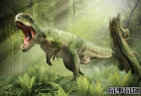 恐龙的演变过程图 槽齿类爬行动-恐龙-鸟类（灭绝加速人类进化）