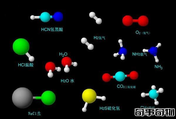 有机物和无机物的区别 有机物含碳元素（无机物不含碳元素）